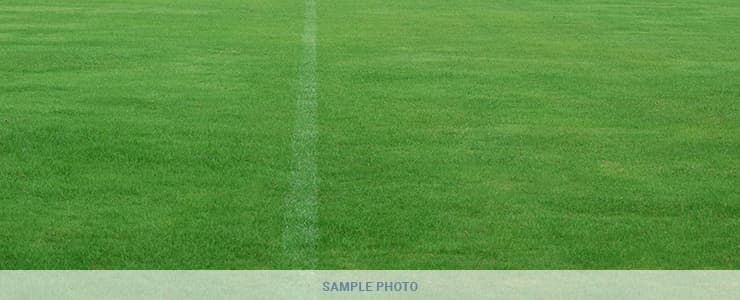 LUCHA Elementary School in San Jose California Slideshow Image 2